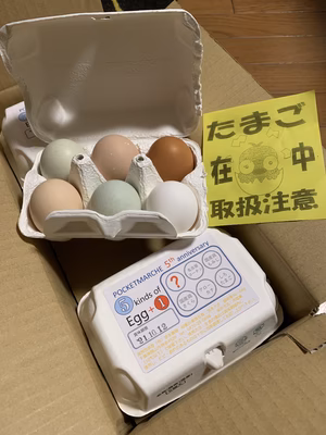 みんなの投稿の画像