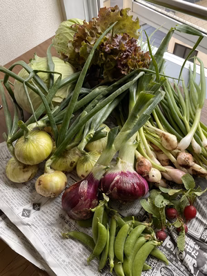 みんなの投稿の画像