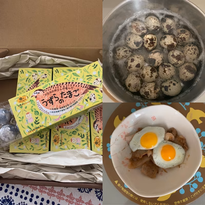 みんなの投稿の画像