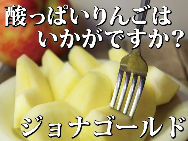 【予約限定特価!!】青森県産りんご「樹上完熟ジョナゴールド」訳あり厳選品!!