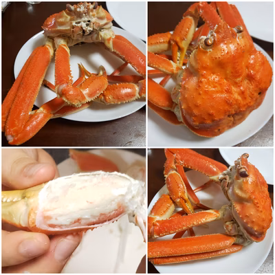 みんなの投稿の画像