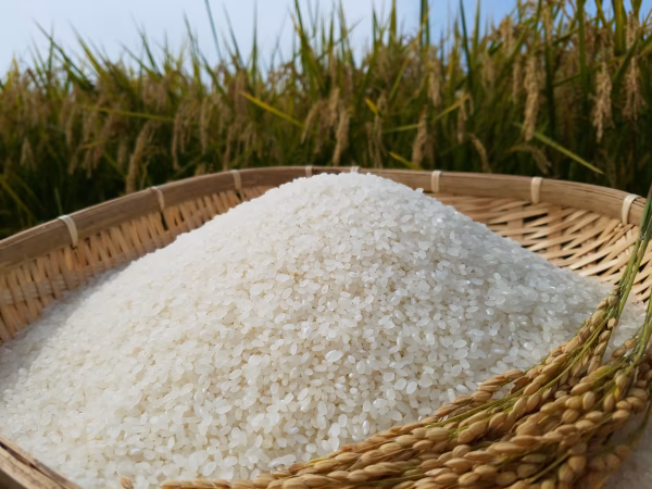 【毎月】令和5年産 青森県産　精米まっしぐら