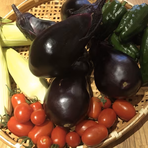 【無農薬】朝採れ野菜詰め合わせセット