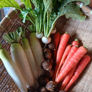 お正月セット3～4品