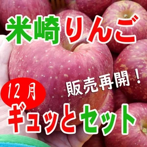 【米崎りんご】12月のりんごギュッとセット！【岩手県陸前高田市】