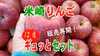 【米崎りんご】12月のりんごギュッとセット！【岩手県陸前高田市】