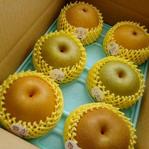 ポケ専４箱限定　BSHN-3　自家用　３Kg３種類盛り