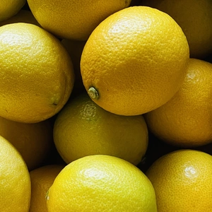 大三島のレモン【皮ごと食べられる♪ワックス・防腐剤フリー•瀬戸内レモン】