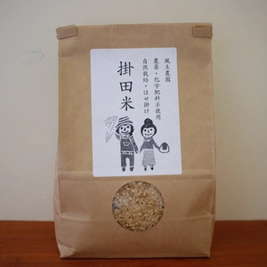 【限定３袋】幻のお米！『自然栽培米ササシグレ玄米』掛田米！