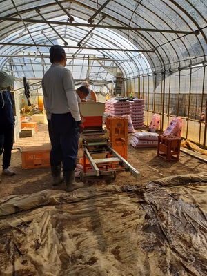 みんなの投稿の画像