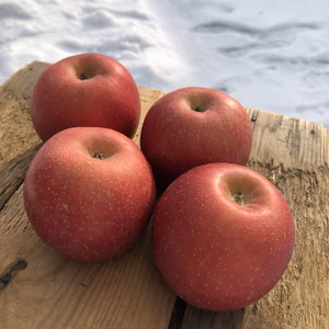 厳選、こだわりはるか、夢ふじ詰め合わせ