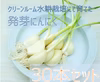 ﾎﾟｹﾏﾙ4周年記念おまけつき【岐阜県栽培】 発芽にんにく　30本セット　