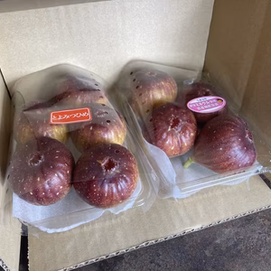 いちじく とよみつひめ 2パック