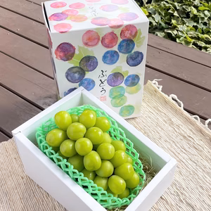 GSC700【ギフト用】ボリュームある大きな完熟シャインマスカット