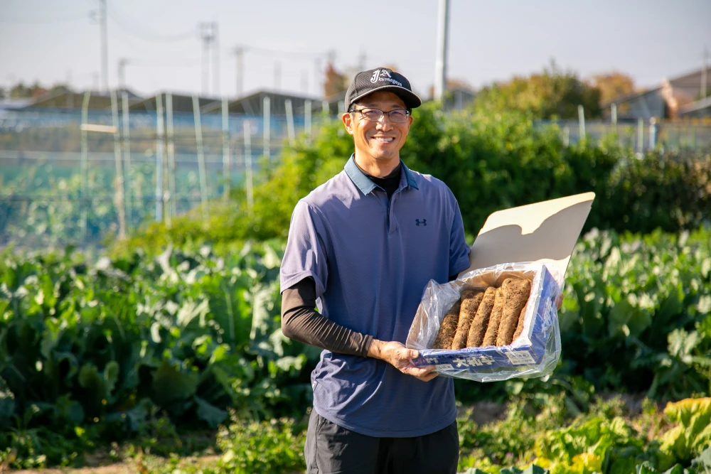 【特産】 令和5年産 大和芋(やまといも) ギフトBOX