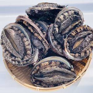 訳あり品【北三陸田野畑産】天然活アワビ　約500g