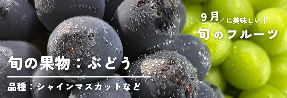 9月に旬の果物フルーツ 葡萄ぶどう シャインマスカットなど