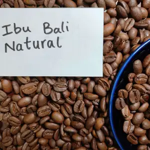 【焙煎豆】イブバリナチュラル　母なる味のコーヒー 100g
