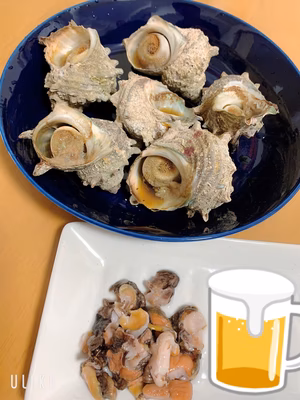 みんなの投稿の画像