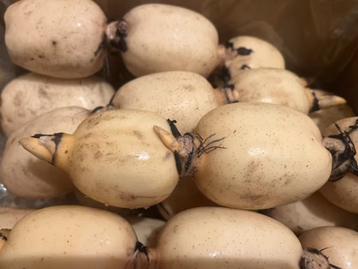 みんなの投稿の画像