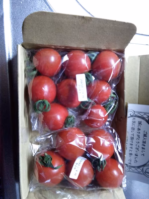 みんなの投稿の画像