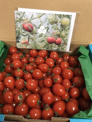 みんなの投稿の画像