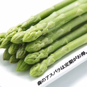 絶品‼【森のアスパラ】朝採れ直送定期便~