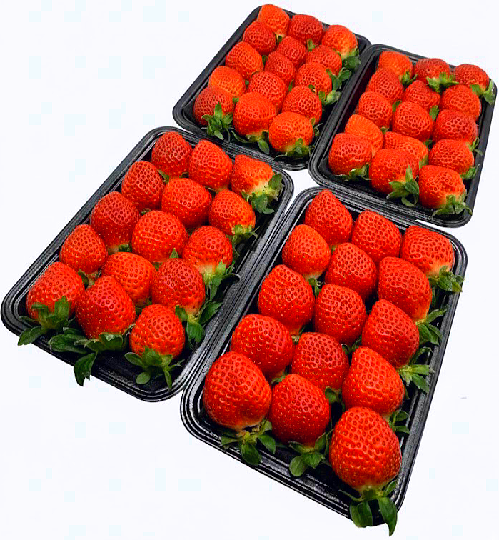 とちおとめの産直通販・お取り寄せ商品｜ポケットマルシェ｜産地直送で