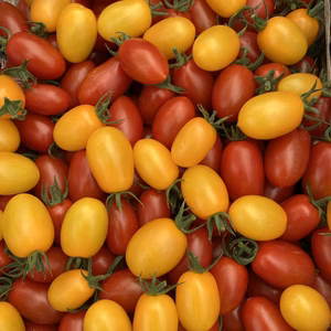 採れたて！完熟アイコトマト　赤黄色セット