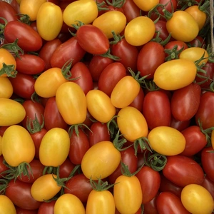 採れたて！完熟アイコトマト　赤黄色セット