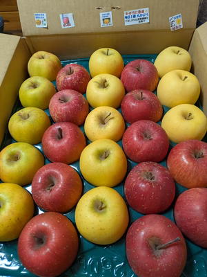 みんなの投稿の画像