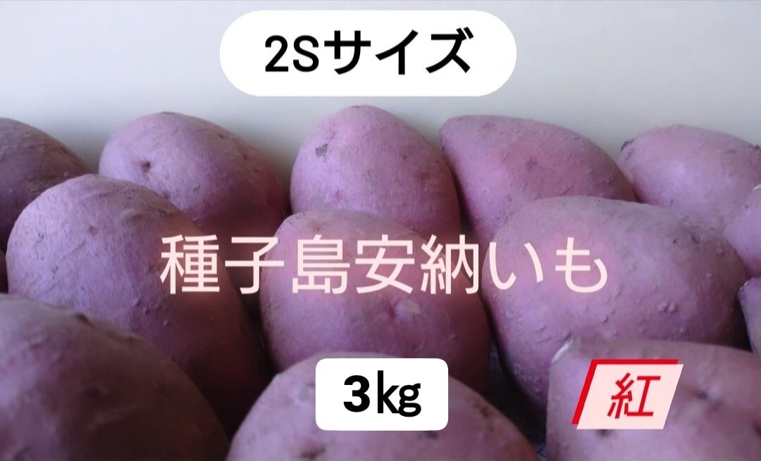 種子島安納いも紅2S 3キロ - 野菜