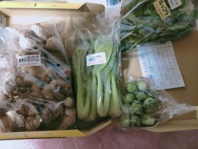 みんなの投稿の画像