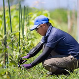 加藤祈理 | あなたの食の帰る場所361°