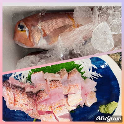 みんなの投稿の画像