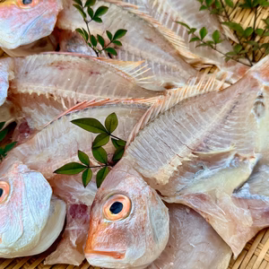 【海の精仕立て】レンコダイ干物｜ふっくら甘い白身（真空冷凍）