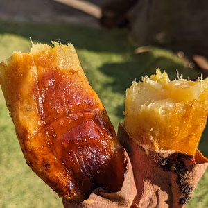 【日テレ出演で話題】唯一無の三段階式焼法で極限まで"糖化"させた濃蜜熟成焼き芋