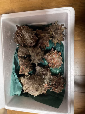 みんなの投稿の画像