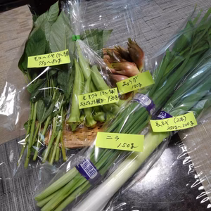 夏野菜の薬味セット