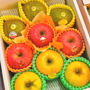 〚ギフトにオススメ〛こだわりの樹上熟成栽培フルーツ贅沢“4-6種”詰め合わせ♪