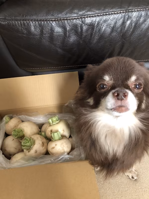 みんなの投稿の画像