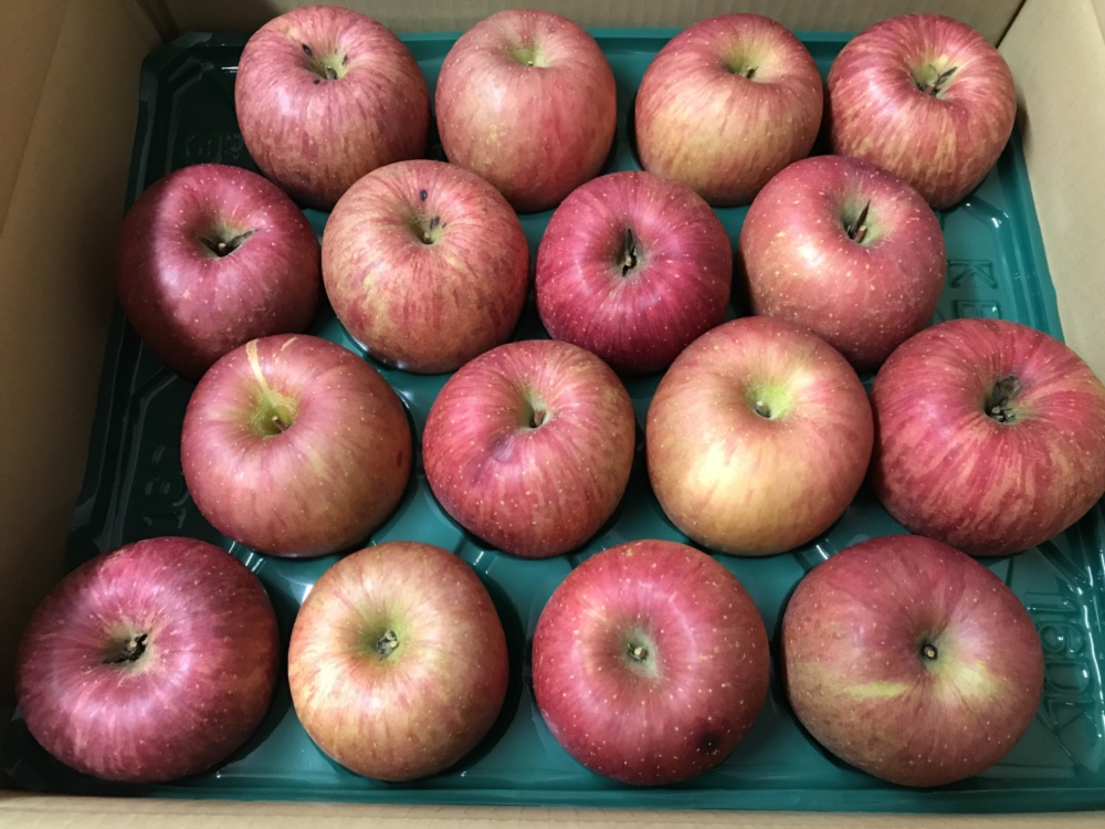 数量限定わけあり品 青森県産りんご サンふじ 色薄 キズ 変形 つる割5kg 農家漁師から産地直送の通販 ポケットマルシェ