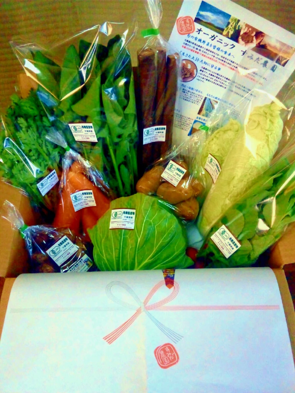 【月2回】旬の有機野菜の詰め合わせ（8品）〈有機JAS取得〉