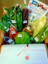 【毎週1回】旬の有機野菜の詰め合わせ クール便（９品）〈有機JAS取得〉