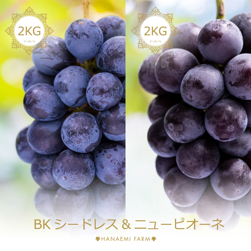 2箱（BK-2＋P-2） 花笑み農園『BKシードレス』２kg＋『ピオーネ』２kg