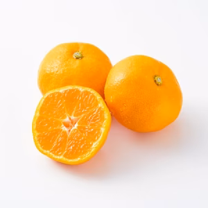 早みかん 5kg
