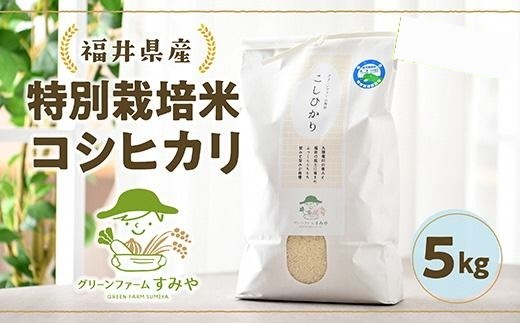 無農薬のお米 令和4年産福井県産特別栽培コシヒカリ玄米5kg×2個【精米