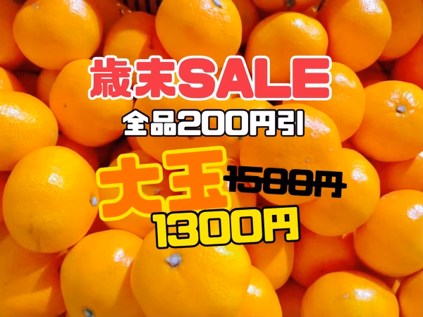 大玉【歳末SALE】在庫限り旨い！安い！甘い！食べてみて熊本みかん