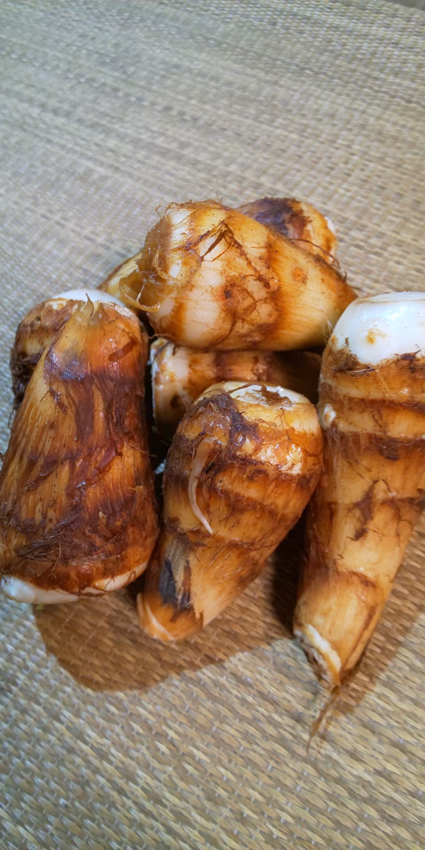 旬の里芋(土垂)   有機JAS認証