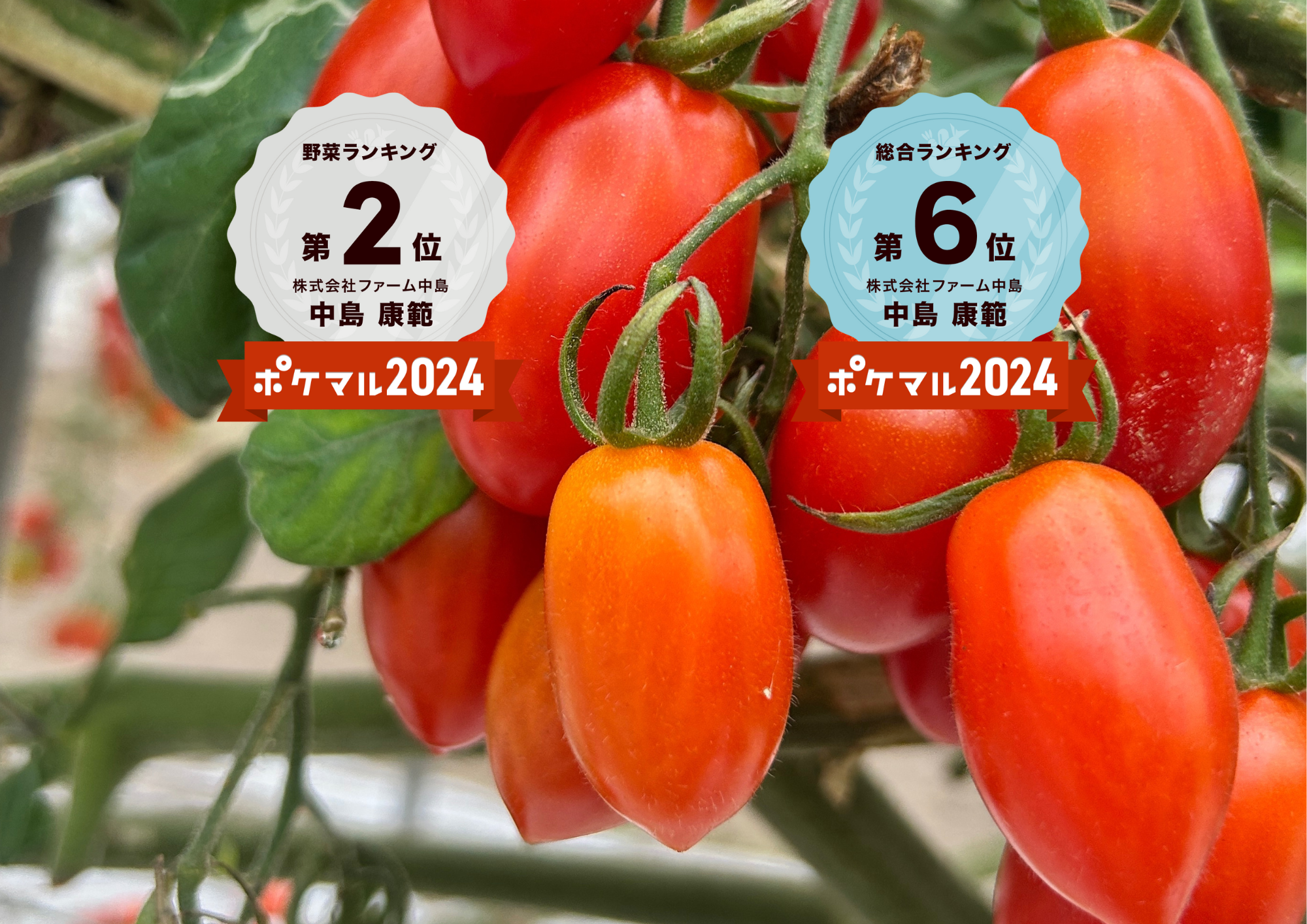 フラガールの産直通販・お取り寄せ商品｜ポケットマルシェ｜産地直送で